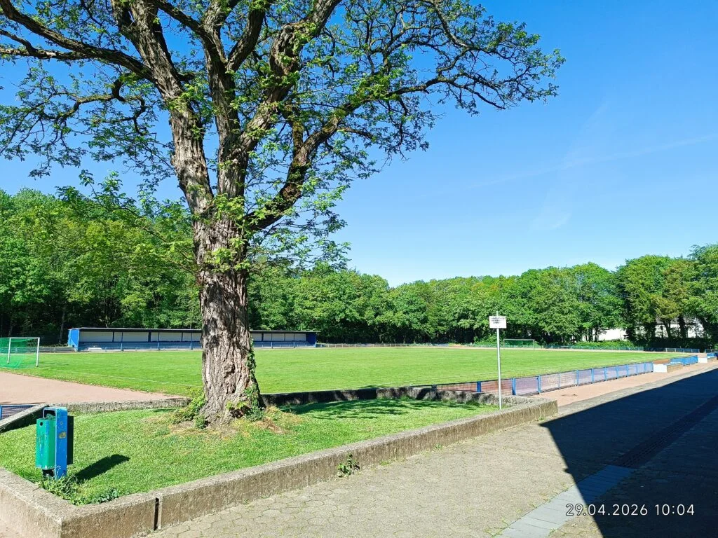 Sportplatz Gesamtschule Ückendorf – Gelsenkirchen