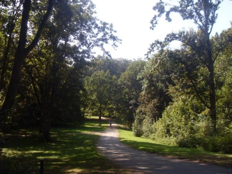Rheinelbepark – Gelsenkirchen Ückendorf